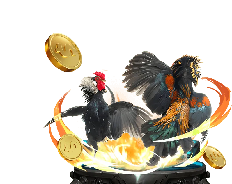 Sự kiện đặc biệt fun88 banh